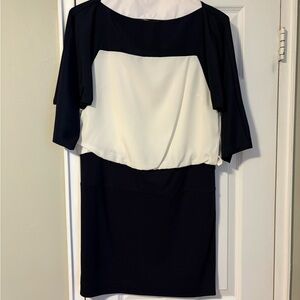 Loft Elegant Navy and White Dress